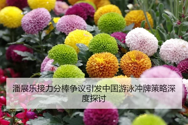 潘展乐接力分棒争议引发中国游泳冲牌策略深度探讨
