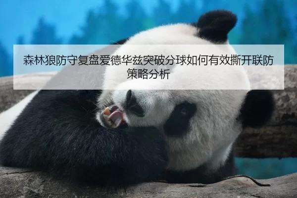 森林狼防守复盘爱德华兹突破分球如何有效撕开联防策略分析