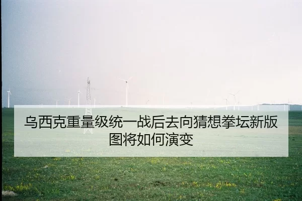 乌西克重量级统一战后去向猜想拳坛新版图将如何演变