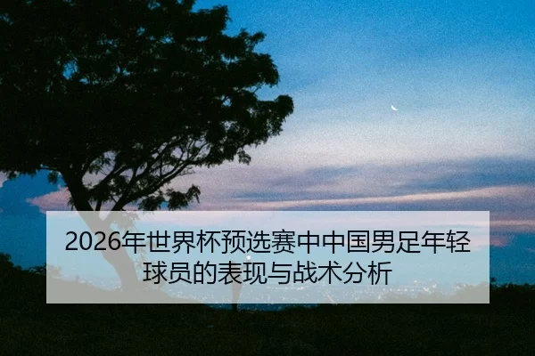 nian-shi-jie-bei-yu-xuan-sai-zhong-zhong-guo-nan-zu-nian-qing-qiu-yuan-de-biao-xian-yu-zhan-shu-fen-xi-2-234.jpg