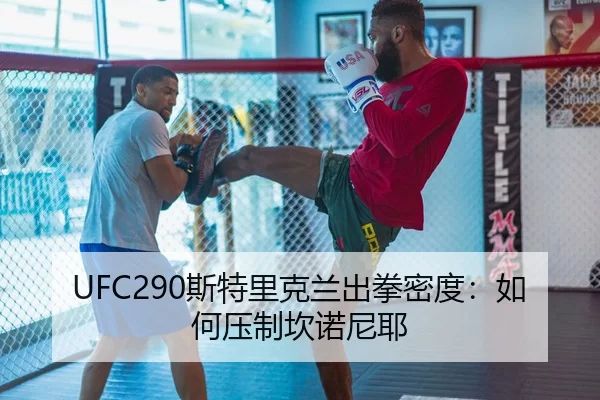UFC290斯特里克兰出拳密度：如何压制坎诺尼耶