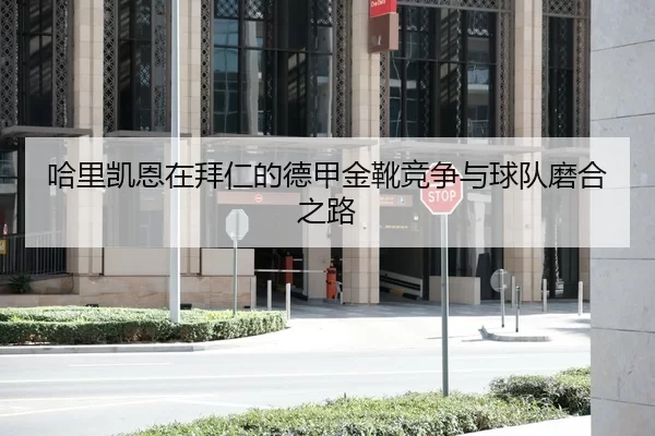哈里凯恩在拜仁的德甲金靴竞争与球队磨合之路