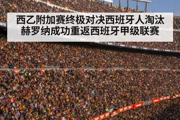 football stadium crowd