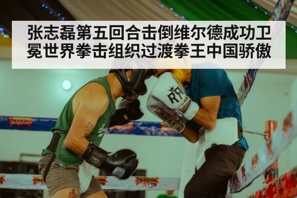 张志磊第五回合击倒维尔德成功卫冕世界拳击组织过渡拳王中国骄傲